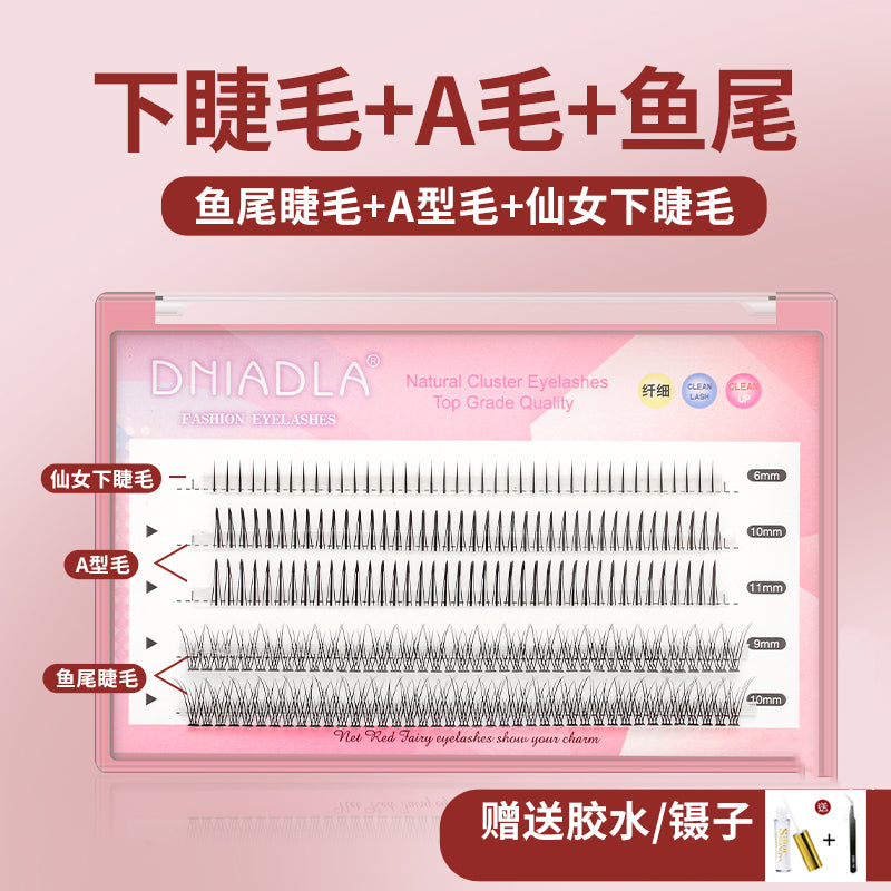 【NEW】DNIADLA Mixed Segmenled Eyelashes 1box -4 styles