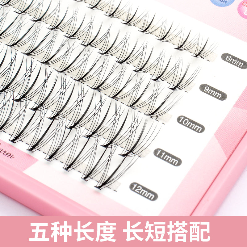 【NEW】DNIADLA Mixed Segmenled Eyelashes 1box -4 styles